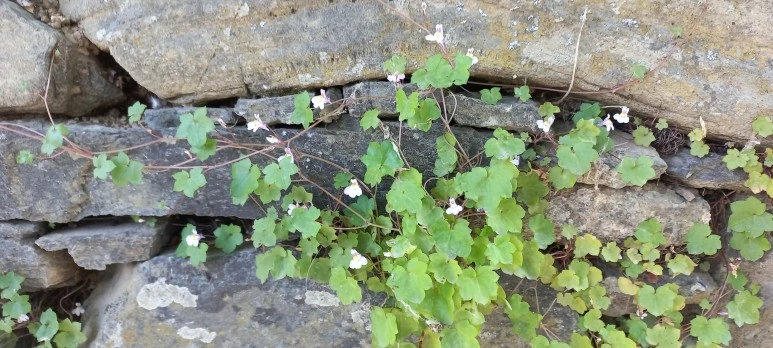 20230606_113548.jpg?type=w773