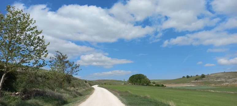 20230518_115707.jpg?type=w773