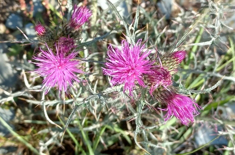 SE-2260cb2f-13f4-4e03-9ec3-d1432341739e.jpg?type=w773