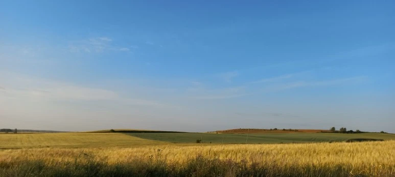 20230522_075430.jpg?type=w773