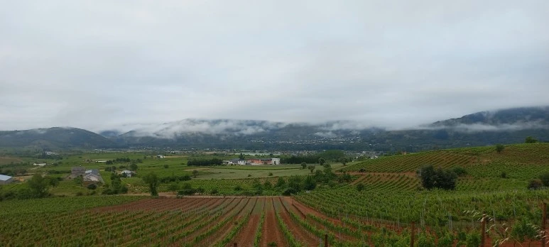 20230531_083403.jpg?type=w773