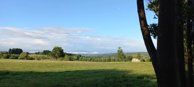 20230608_085139.jpg?type=w773