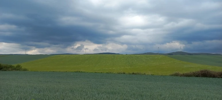 20230515_132149.jpg?type=w773