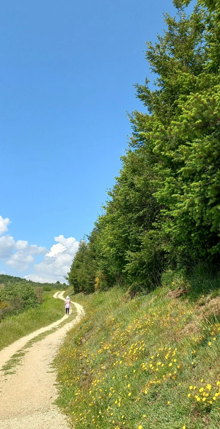 SE-e0ba3b3a-3780-4fc8-be91-82900ea075a7.jpg?type=w773