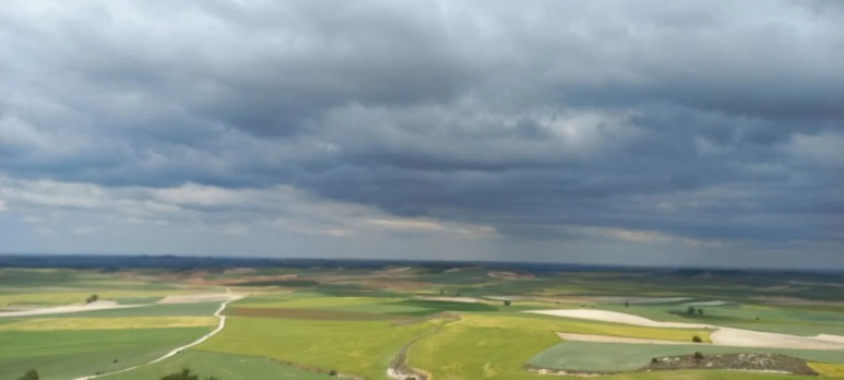 20230519_111824.jpg?type=w773