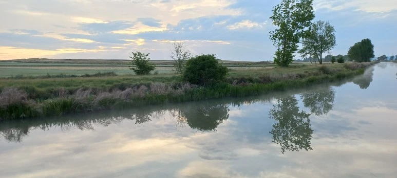 20230520_073812.jpg?type=w773