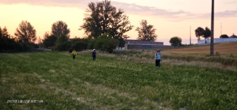 1684766585632.jpg?type=w773