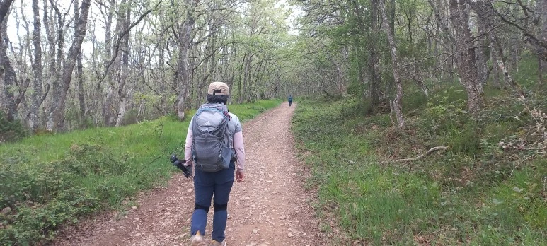 20230516_111858.jpg?type=w773