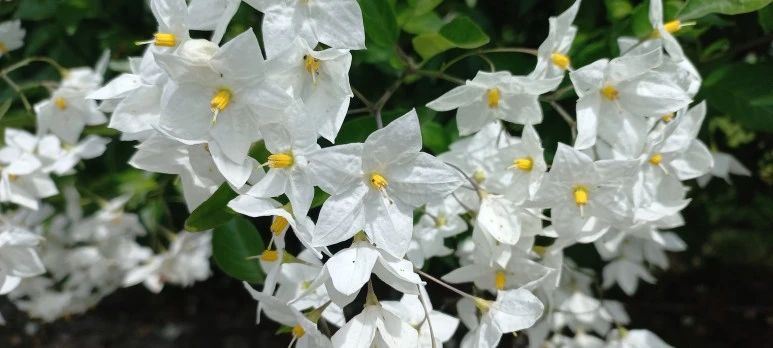 20230606_123824.jpg?type=w773