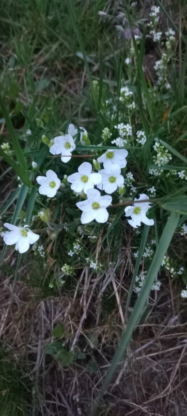 20230602_064836.jpg?type=w386