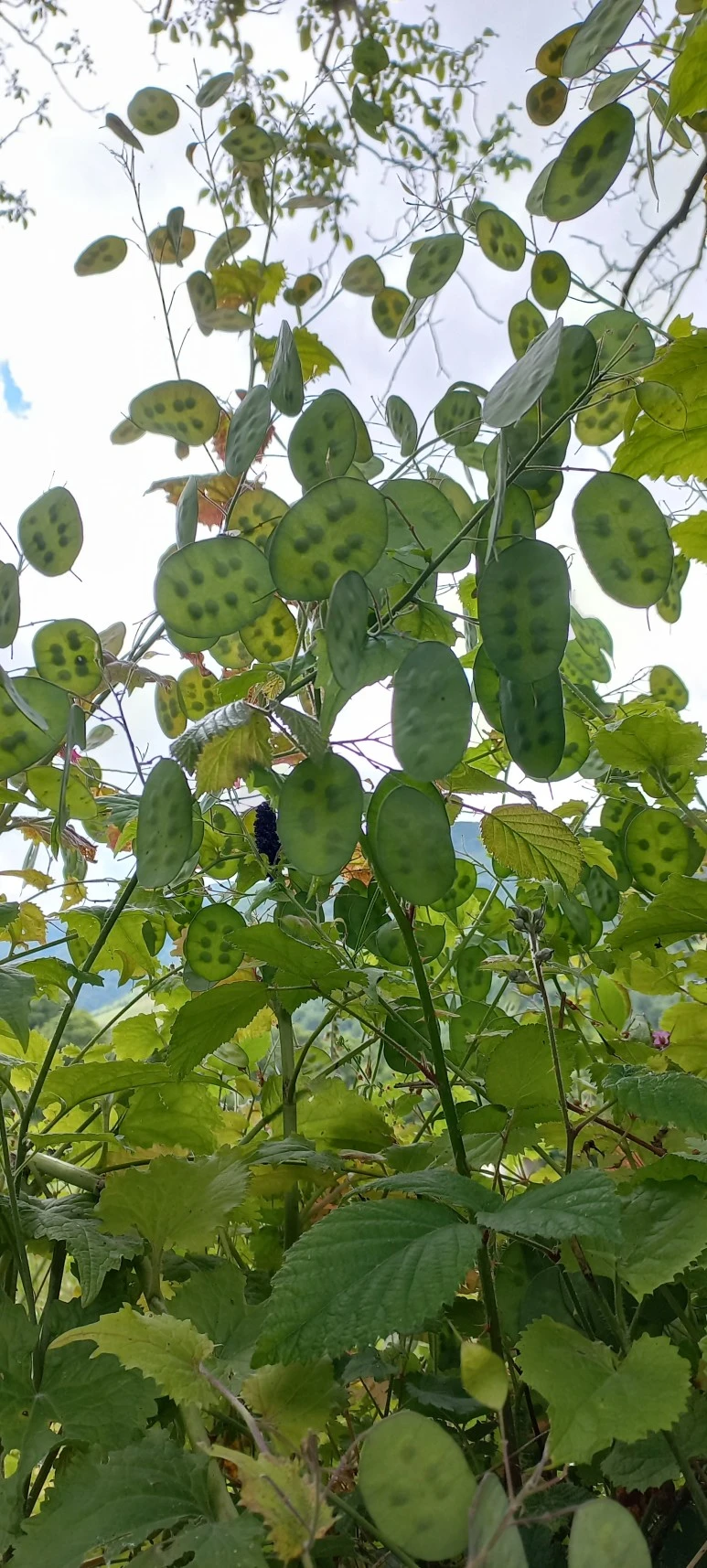 20230602_131447.jpg?type=w773