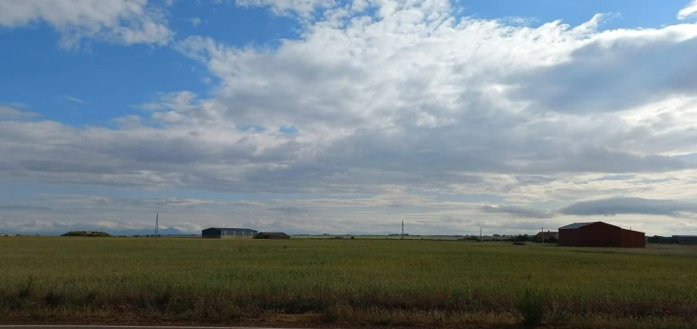 SE-ddfd66f8-752c-44ee-aaaa-ed993791625b.jpg?type=w773