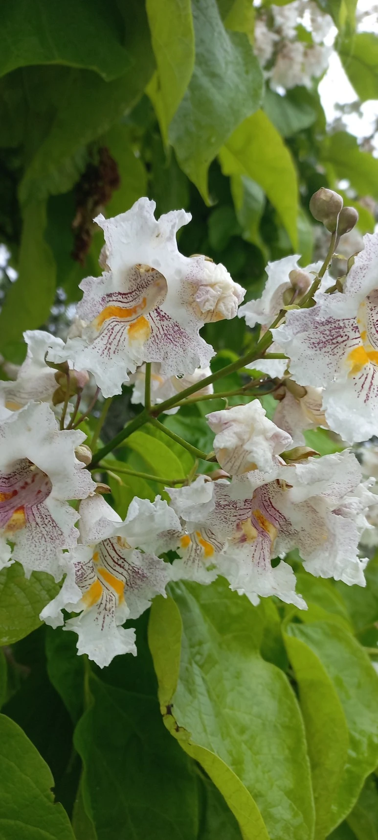 20230607_104839.jpg?type=w773