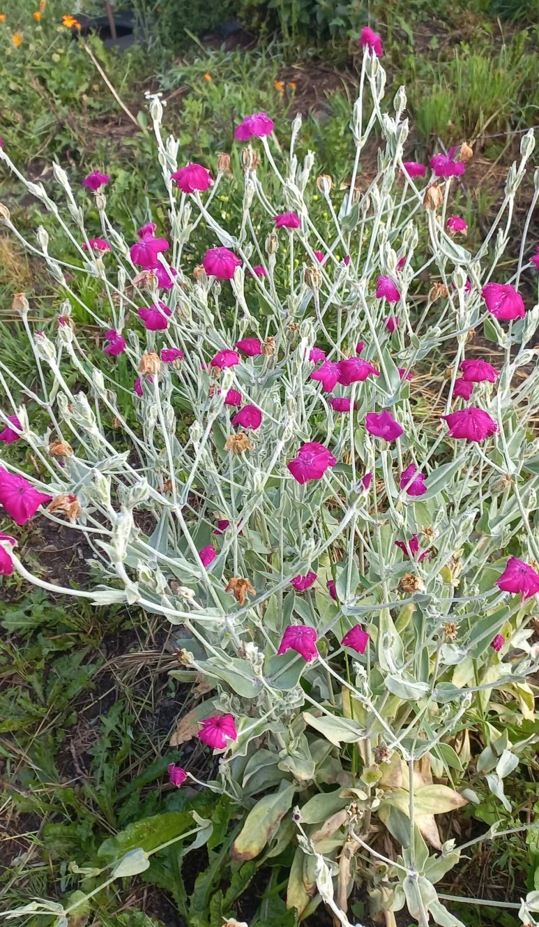 SE-32bc078b-b121-4c26-ba90-38076312fc2b.jpg?type=w773