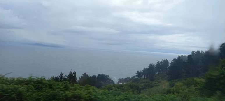 20230609_133251.jpg?type=w773