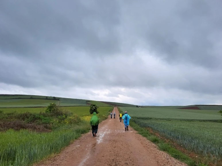 SE-67c5c2f2-6298-4dcb-89bb-2b525a4efeca.jpg?type=w773