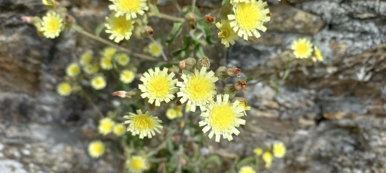 20230606_123831.jpg?type=w773