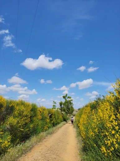 1684678201109.jpg?type=w386