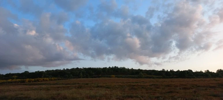 20230529_070047.jpg?type=w773