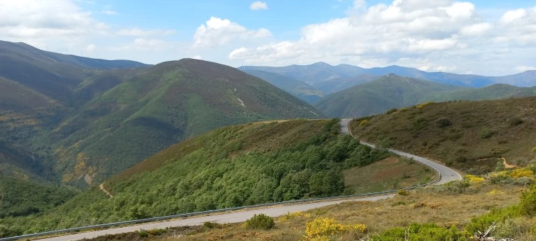 20230529_114502.jpg?type=w773