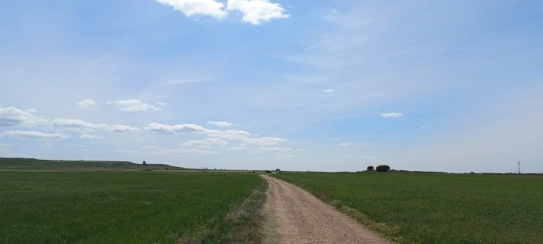 SE-8063aaa8-83a5-425c-badf-b3e7664a0986.jpg?type=w773