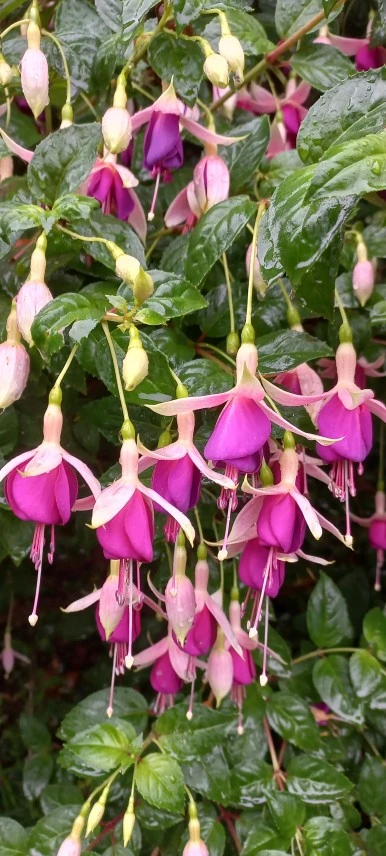 20230607_092836.jpg?type=w386