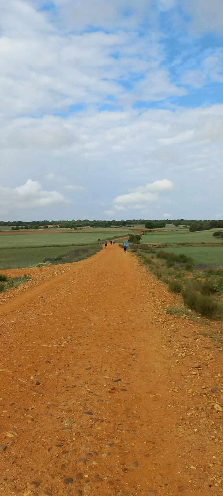 SE-35e2b24f-843d-4418-b978-b35019095a78.jpg?type=w773