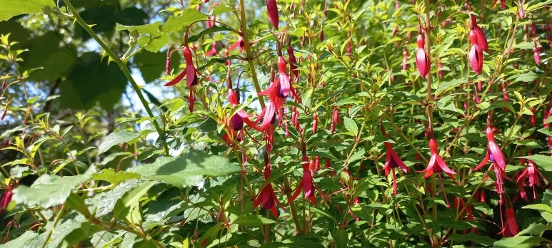 20230606_113354.jpg?type=w773