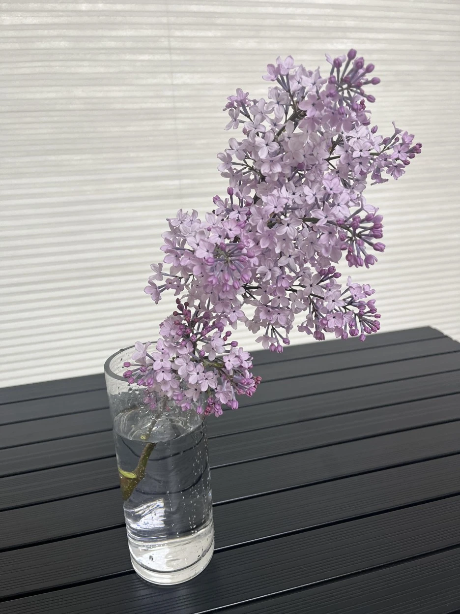 unnamed_(6).jpg?type=w1