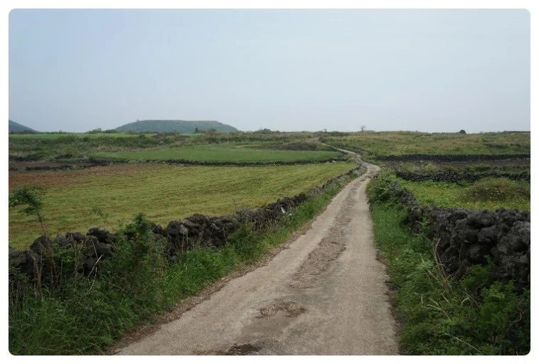 %EB%8B%A4%EC%9A%B4%EB%A1%9C%EB%93%9C_(3).jpg?type=w966