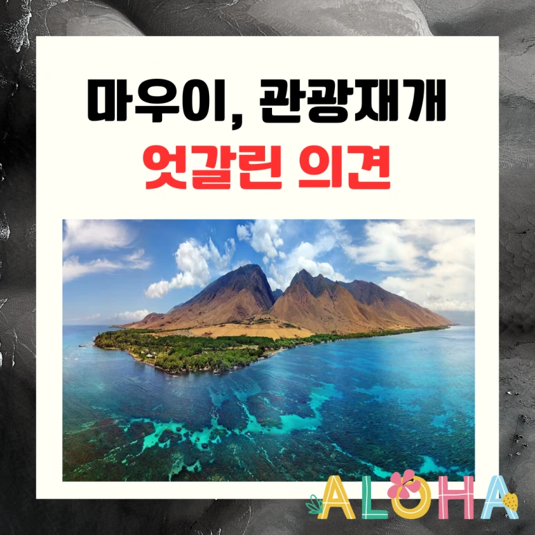 %EC%8B%9C%EC%82%AC%EC%83%81%EC%8B%9D.png?type=w773