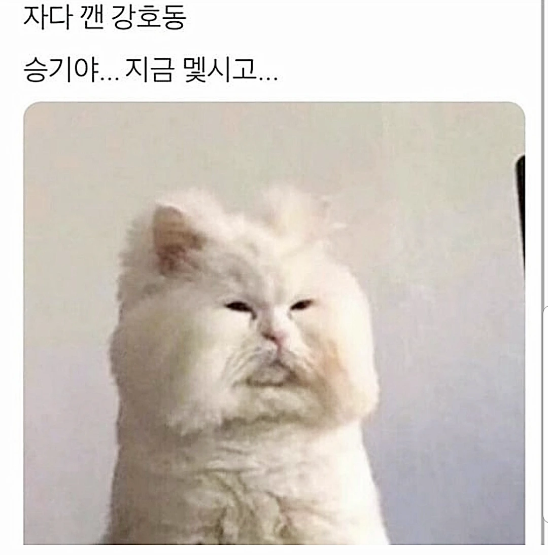 AD_4nXd_BvJNqZm-zJAXpa1FxhtCdvs_ghceEoj0bNIGlAs1DfbLyZtPzve9r_3gQWUSdX6SKWinf9-z5qh5eXmExKpzsMD2bLMEr_V-BbGlxAEITTIMxzux04dloY9fVdqGgGsDiRZ5Aw?key=V-2NfqO2zU3Afnn_vOrZnw