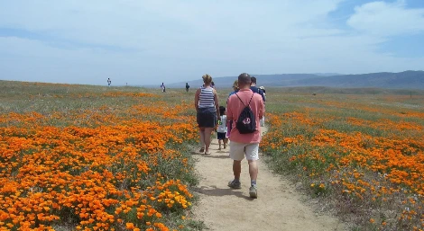 사진11-트레일 뒷모습.JPG