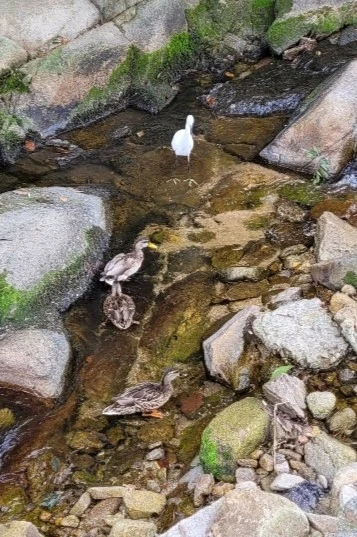 KakaoTalk_20220929_172406909_15.jpg?type=w1