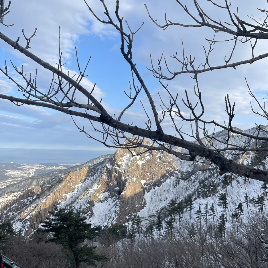 IMG_6003.jpg?type=w1