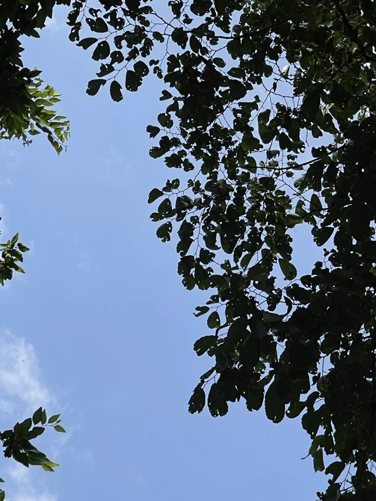 IMG_3424.JPG?type=w773