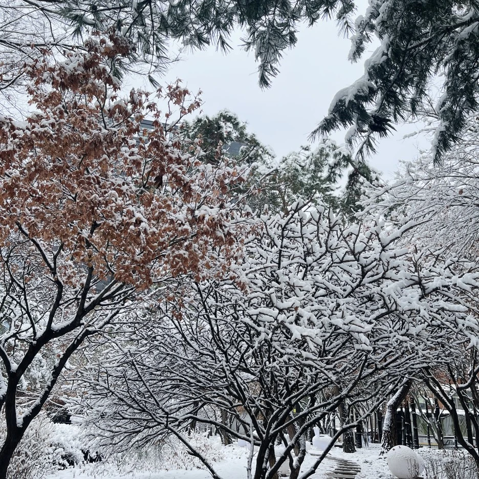 IMG_6092.jpg?type=w1