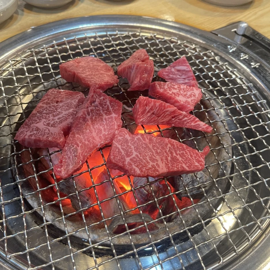 IMG_6048.jpg?type=w1