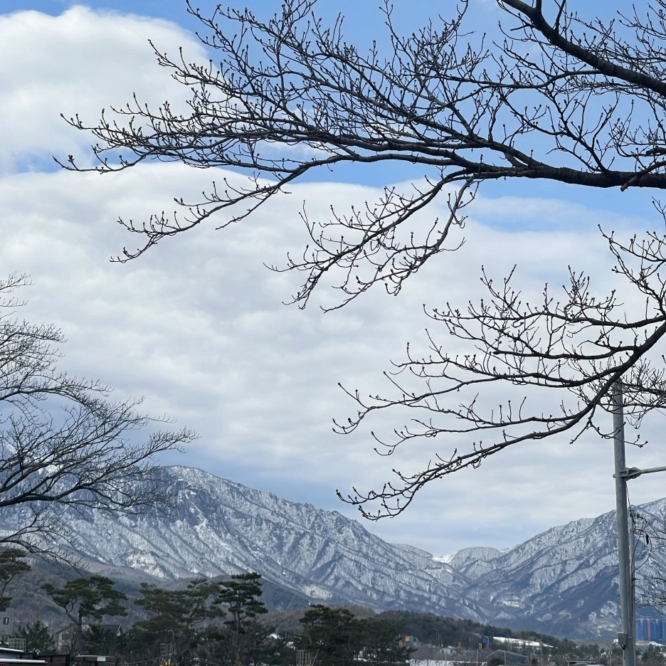 IMG_5951.jpg?type=w1