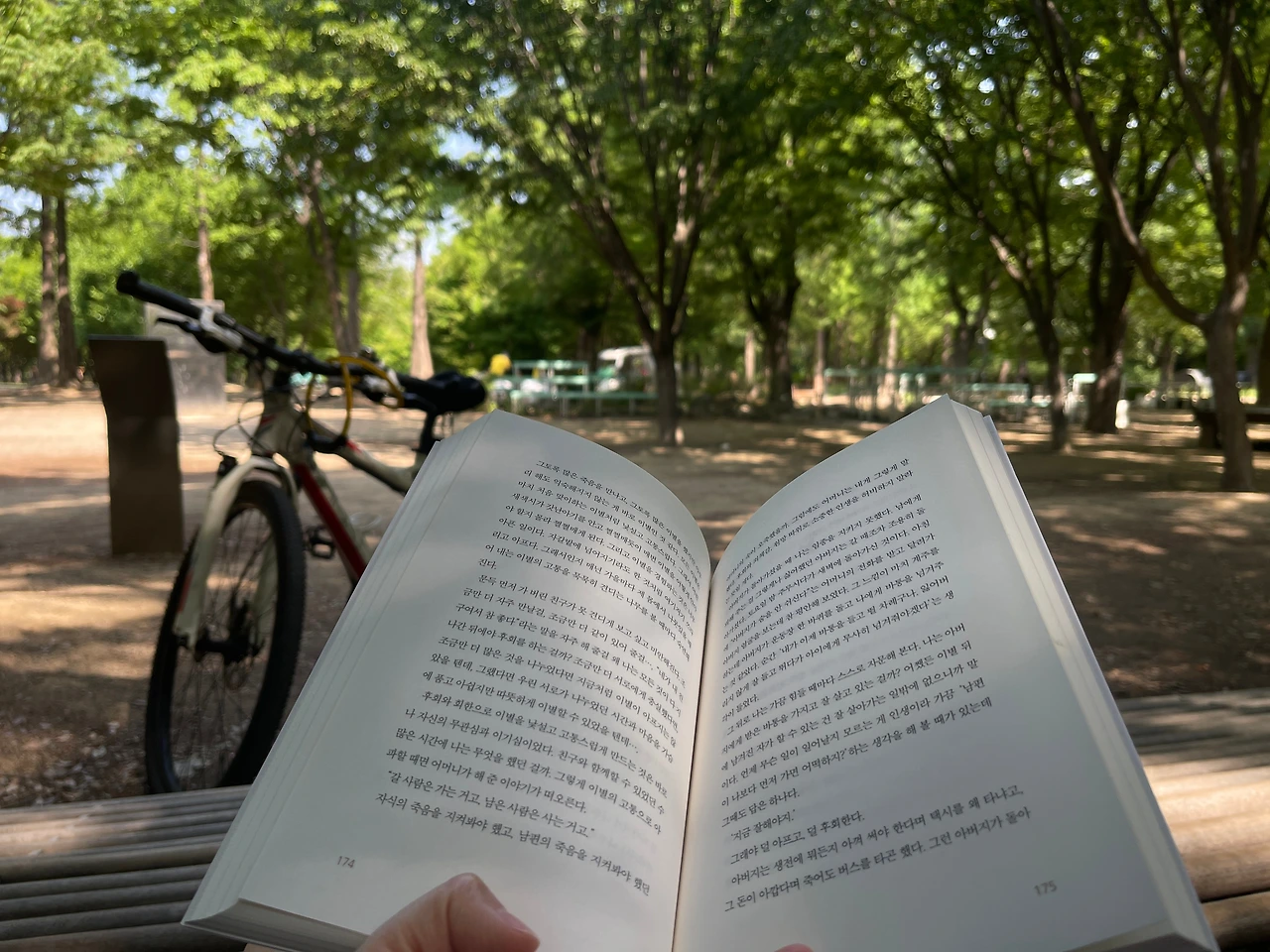 KakaoTalk_Photo_2023-05-15-16-46-52 001.jpeg