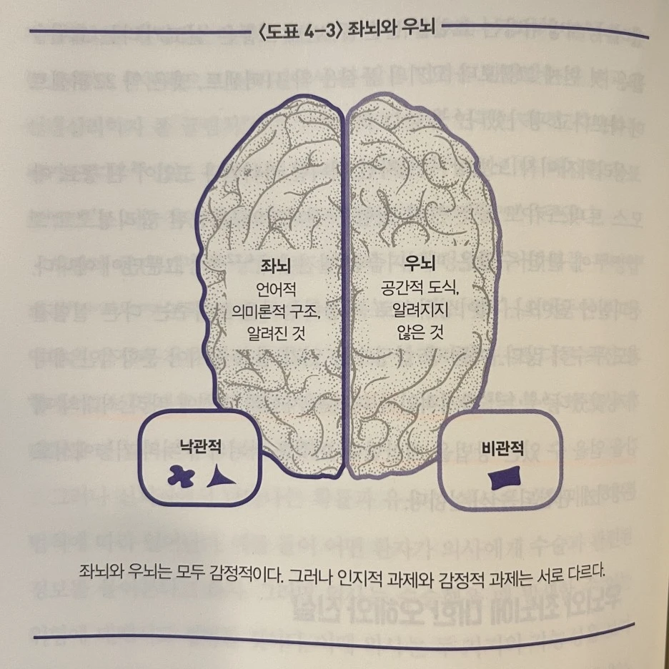 IMG_6096.jpg?type=w1