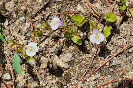 다운로드 (8).jpeg