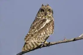 다운로드 (25).jpeg