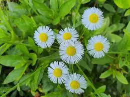 다운로드 (33).jpeg