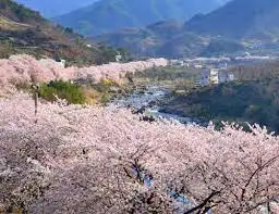 다운로드 (23).jpeg