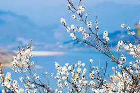 다운로드 (22).jpeg