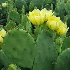 다운로드 (41).jpeg