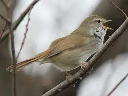 다운로드 (38).jpeg