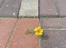 다운로드 (7).jpeg