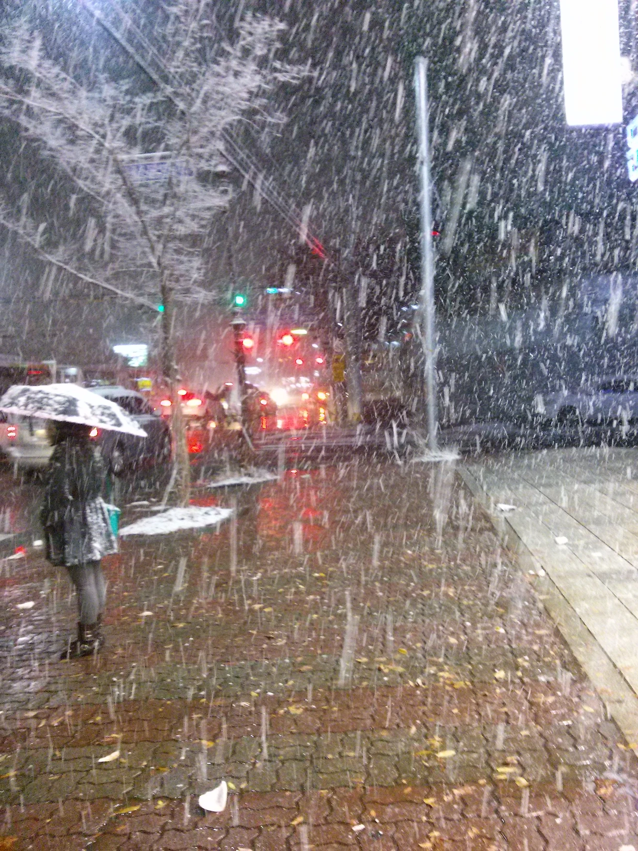 브런치 나로살아내기위해서 1화 - 1.JPG